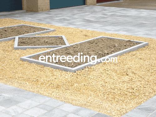 Dawini B.V.B.A. uit Maldegem