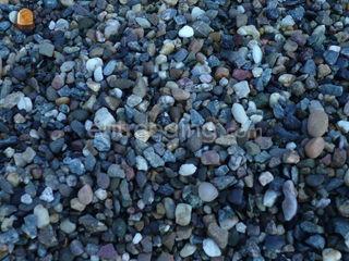 Japans split (4-8 mm) Omgeving Haarlem