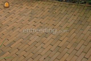 Gele gebakken 7duimers. D... Omgeving Kamerik