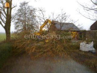bomen en struiken omzagen... Omgeving Zoetermeer