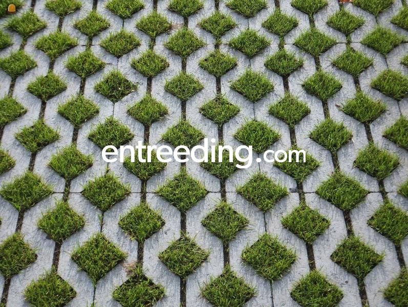 Klinker- en kasseiwerken, natuursteen