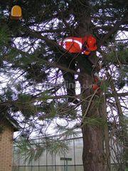 Man met kettingzaag Omgeving Rotterdam