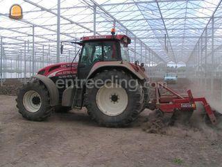 Trekker + vaste tandenmoo... Omgeving Rotterdam