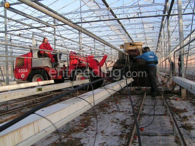 Slangen kneuser (2x)