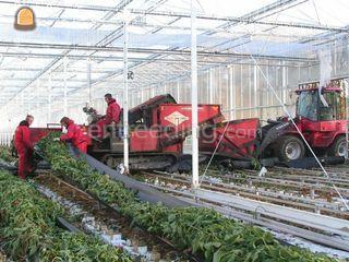 Bio Chopper (7x) Omgeving Rotterdam