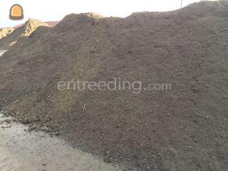 teelaarde Omgeving Antwerpen