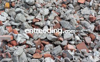 Mengpuin Omgeving Antwerpen