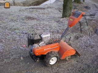 Tuinfrees Omgeving Zevenbergen