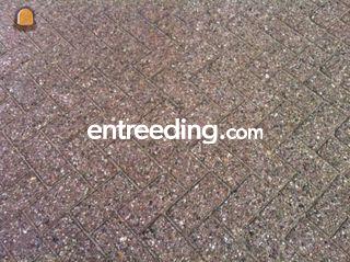 Beton Klinkers Omgeving Zevenbergen