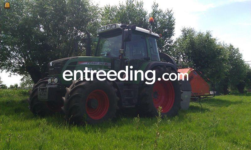 Takkensnipperaar 25 cm