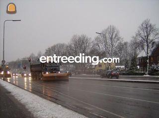 alle soorten en maten (+-... Omgeving Utrecht