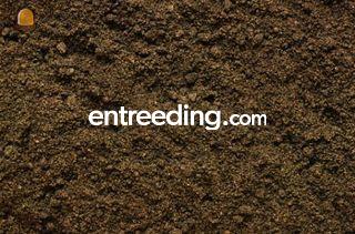 Tuinaarde Omgeving Goes