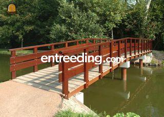 Bruggen  Omgeving De IJsselsteden