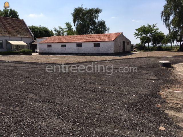 Aanleg en onderhoud van tuinen, omheiningen plaatsen