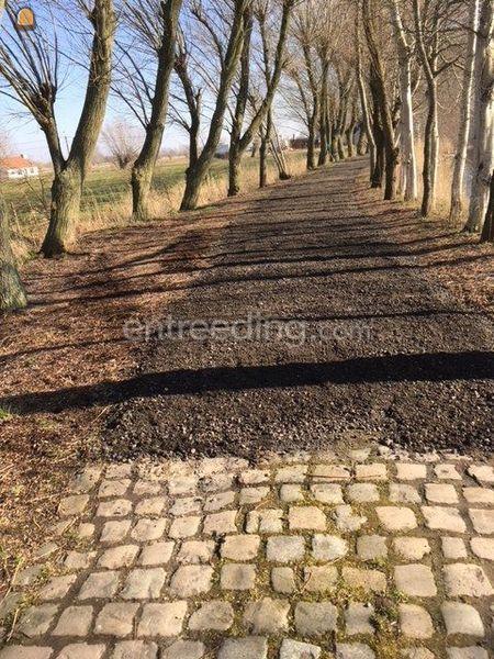 Aanleggen opritten en terrassen