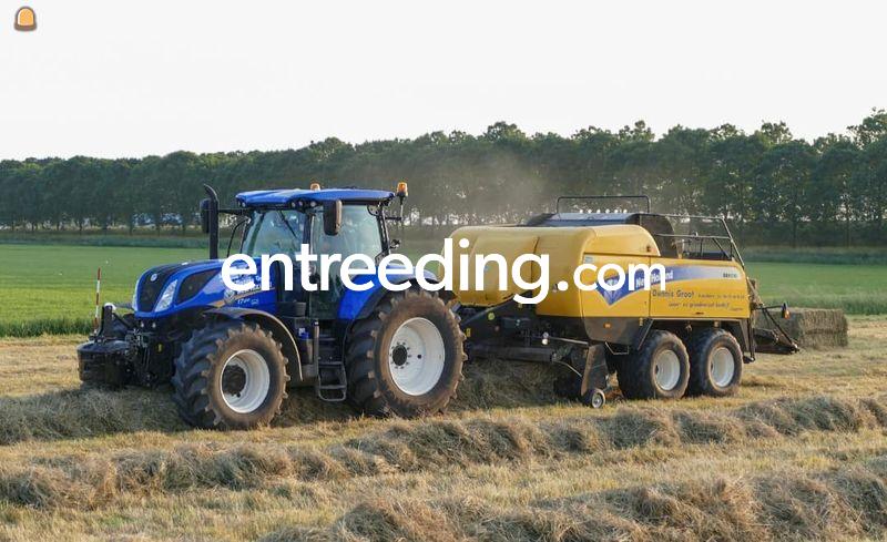 Newholland BB9080