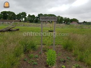 Hovenierswerkzaamheden Omgeving De Drechtsteden