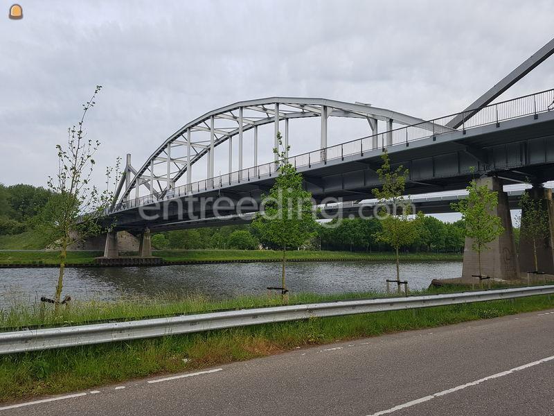 Hovenierswerkzaamheden