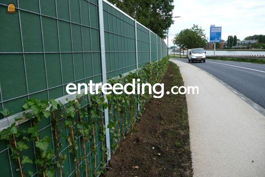 Hovenierswerkzaamheden en groot grondverzet