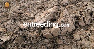 Klei Omgeving Nijmegen