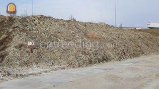 zandige kleigrond Omgeving Haarlem