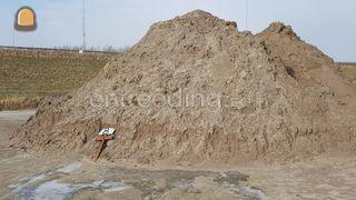 zandige grond Omgeving Haarlem