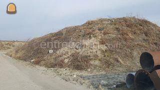 zandig kleigrond Omgeving Haarlem