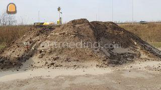 Veen , zandig Omgeving Haarlem