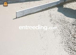 fundering en bedding Omgeving Brussel