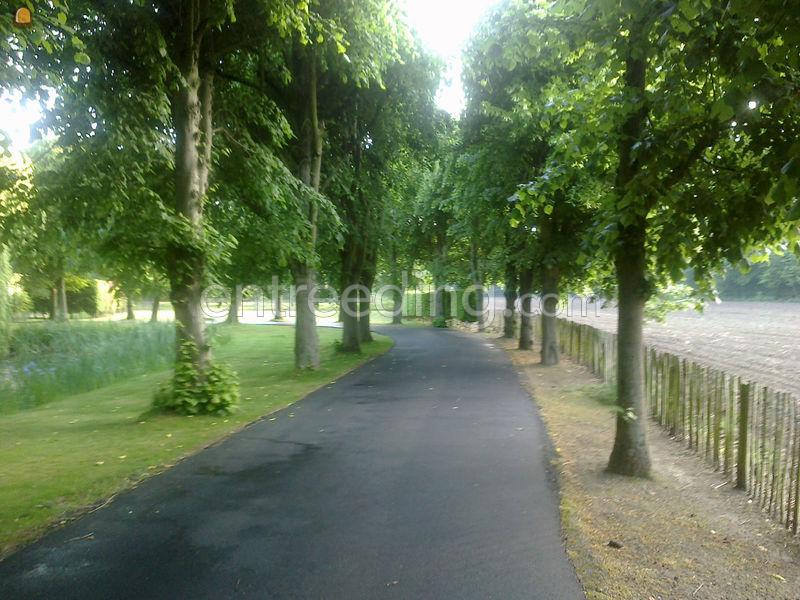 Opritten, parkings in asfalt, klinkers, dolomiet...