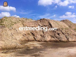 voor zandbed Omgeving Land van Cuijk