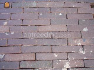 gebakken waalen Omgeving Ede