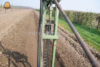 Fruitteelt aanleggen en b... Omgeving Hoekse Waard