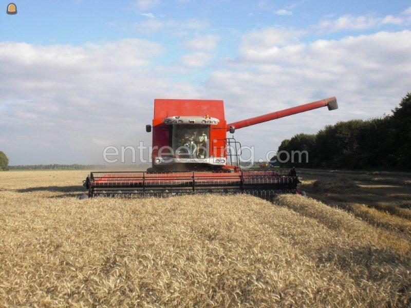 Massey Ferguson Centora 7282