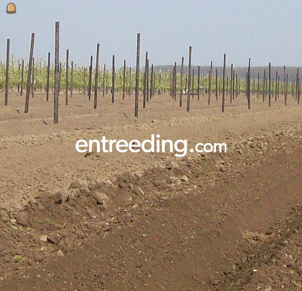 Sleuven + eventueel boren