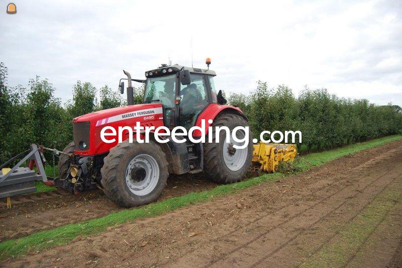 MF 6490 + MeriCrusher