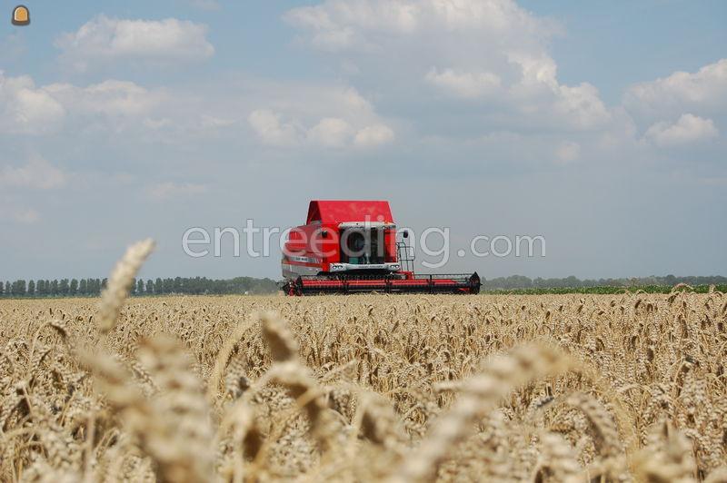 Massey Ferguson Centora 7282