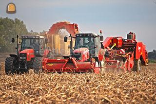 Grimme GV3000 Omgeving Hoekse Waard