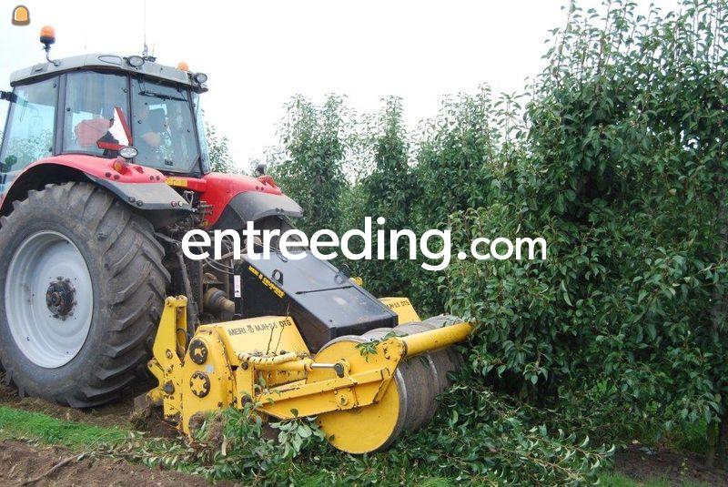 Fruitteelt aanleggen en boomgaard rooien