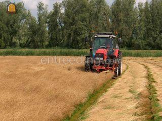 Graszaad maaien dubbelen ... Omgeving Hoekse Waard