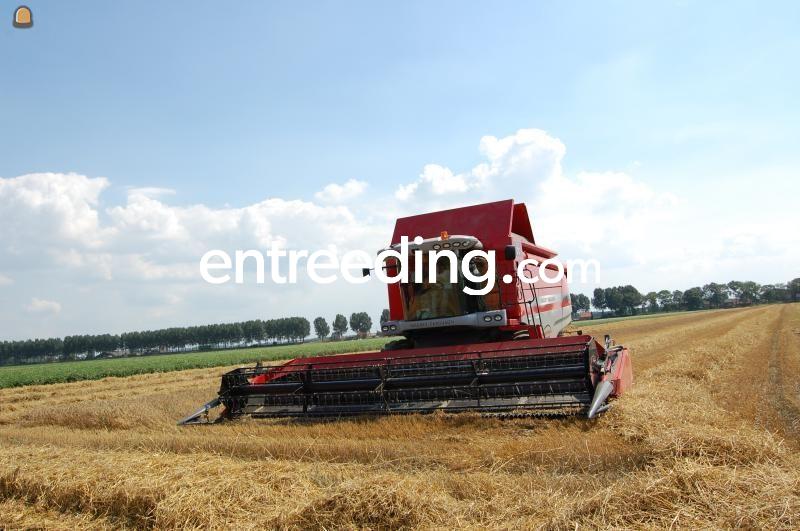 Massey Ferguson Centora 7282