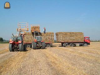 MF4255 + frontlader Omgeving Hoekse Waard