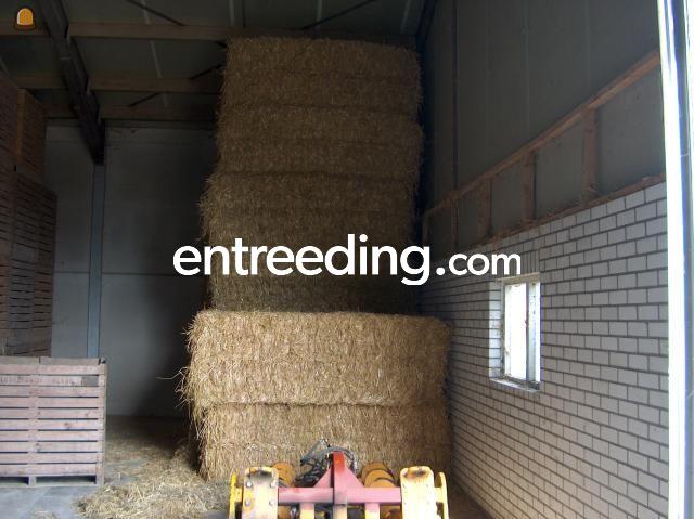 Verkoop hooi en stro