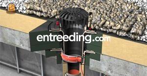 Vlakdakafvoeren en parkeerdekafvoeren