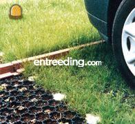 Area & Area New gras- en ... Omgeving Dendermonde, Berlare, Uitbergen,