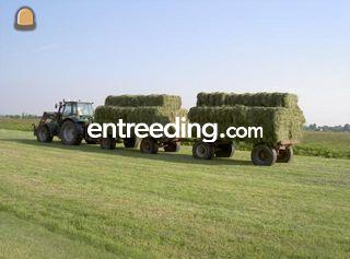 Deutz Fahr Omgeving Gouda