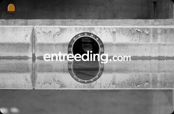 Plaatsen rioleringen in pvc of beton