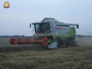 Claas Lexion Omgeving De Drechtsteden