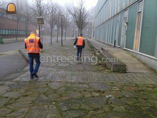 meewerkend DLP er Omgeving Amersfoort