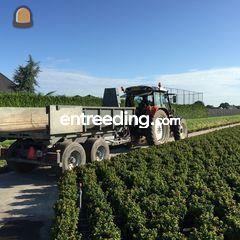 Peecon cc-130 Omgeving Breda